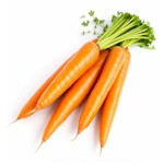 potager-carottes