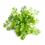 potager-persil