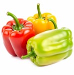 potager-poivrons