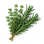 potager-thym-romarin