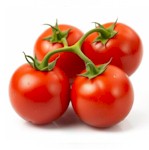 potager-tomates